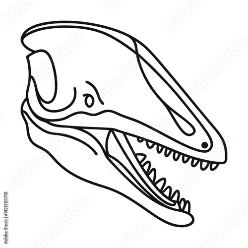 Line art mosasaur skull illustration vector minimalist design outlined paleontological drawing cretaceous predator