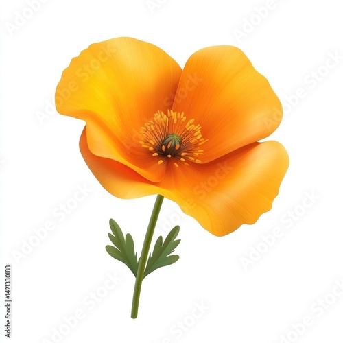 Vibrant orange California poppy in full bloom. photo
