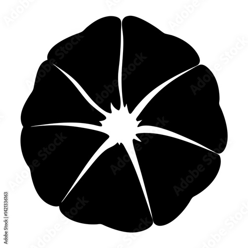 morning glory flower minimalist silhouette vector - for nature graphic design projects morning glory, plant flower modern artwork.