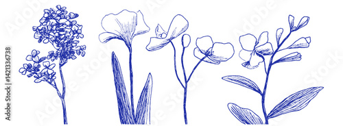 Floral doodles on a Mediterranean backdrop showcasing whimsical linear elements and odd crayon strokes
