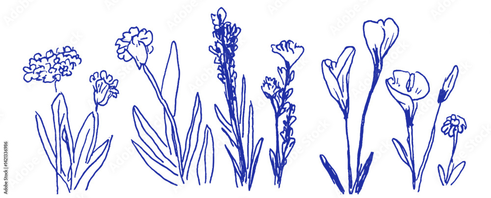 Whimsical linear doodles of Mediterranean flowers in crayon and chalk captured in vibrant detail