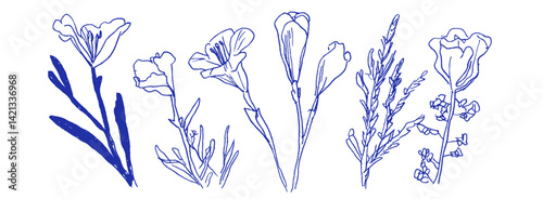 Elegant linear doodles of Mediterranean flowers in crayon and chalk create a whimsical coquette design