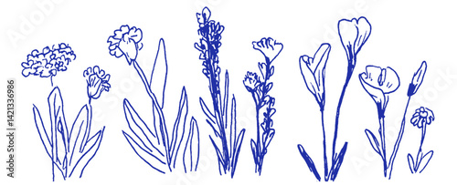 Whimsical linear doodles of Mediterranean flowers in crayon and chalk captured in vibrant detail