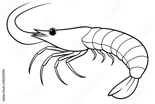 shrimp silhouette line art vector illustration with a white background