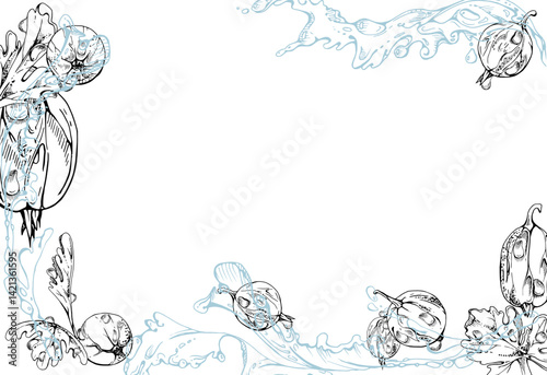 Gooseberry Currant berries flying in water splash with green leaves, dew drops, ripe garden juneberry casseille jostaberry hand drawn in vector ink. Isolated border corner frame. Menu, farmers market