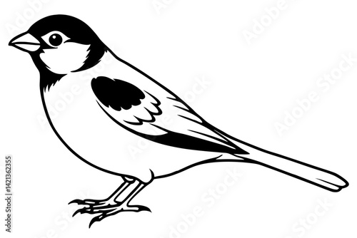 sparrow silhouette line art vector illustration with a white background