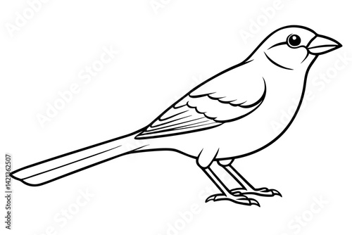 sparrow silhouette line art vector illustration with a white background