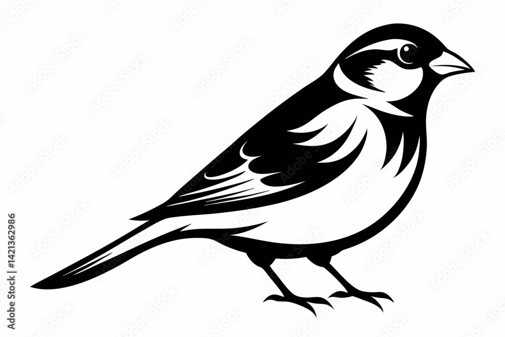 Obraz premium sparrow silhouette line art vector illustration with a white background