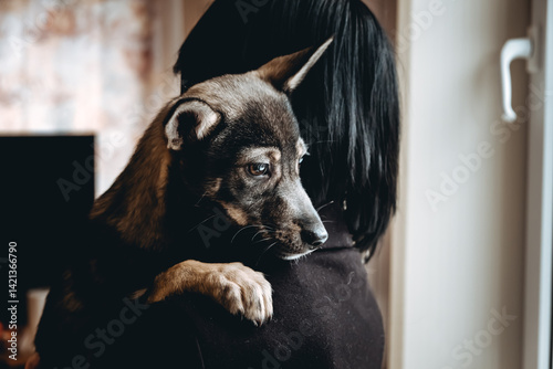 Canvastavla Sad dog is in a volunteer helping hands