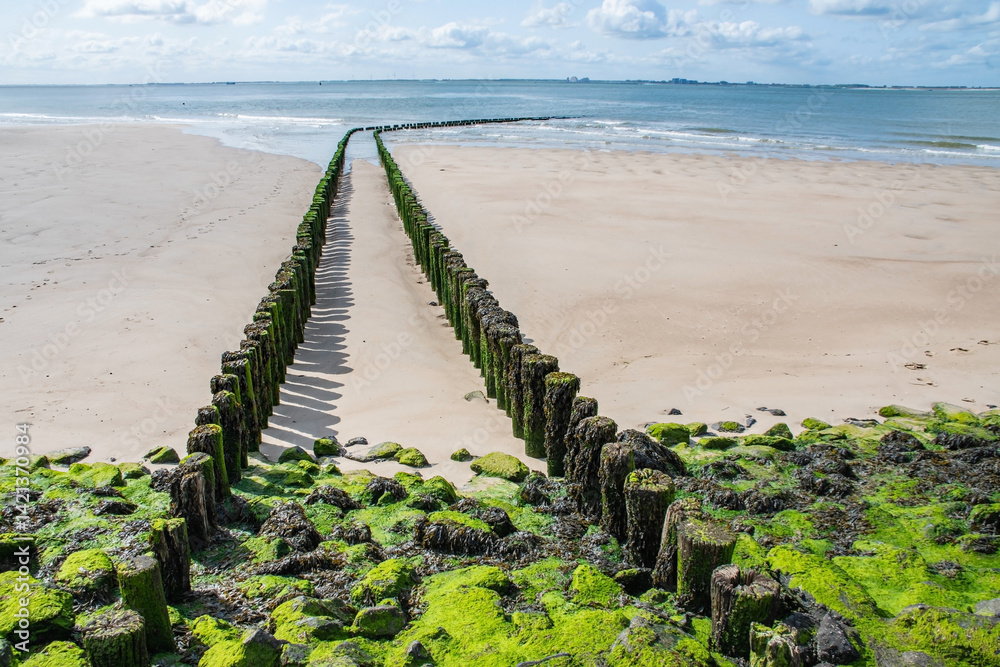 Fototapeta premium Nordsee Niederland