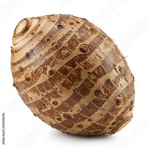 Close-up of a Single, Intriguing Taro Root Against a White Background