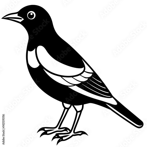 Common Myna Vector on White Background