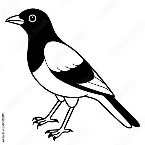 Common Myna Vector on White Background