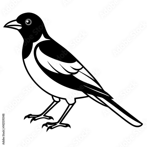 Common Myna Vector on White Background