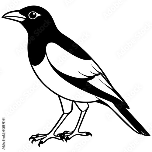 Common Myna Vector on White Background
