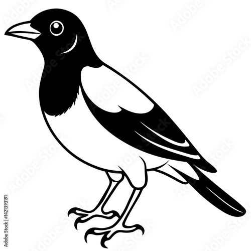 Common Myna Vector on White Background