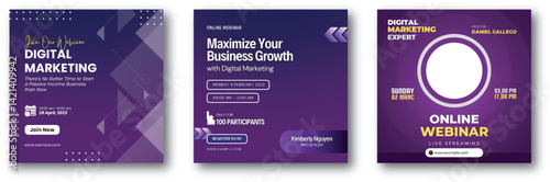 Elevate Your Business with Expert Digital Marketing Webinar Series