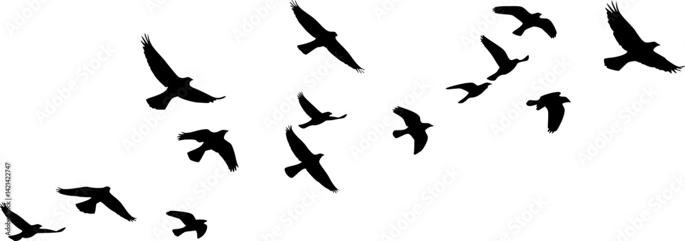 Flock of Birds Silhouette. Clipart image vector birds Flock of Birds Silhouette. Clipart image vector birds