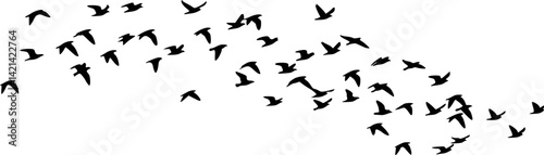 Flock of Birds Silhouette. Clipart image vector birds