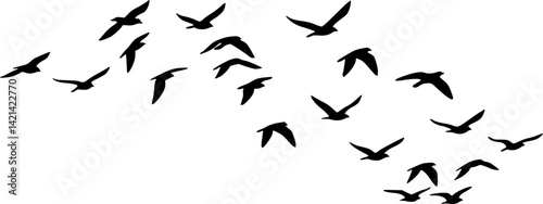 Flock of Birds Silhouette. Clipart image vector birds
