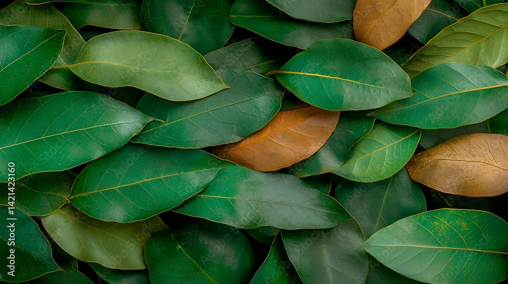 Fototapeta premium Green leaf pattern with brown accents creates an organic, textured background with vibrant colors and natural details