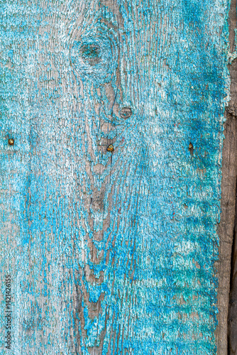 A close-up image of aged wood covered in faded and peeling blue paint. The weathered texture reveals the rough wooden grain beneath, adding a rustic feel. It is perfect for use in background textures