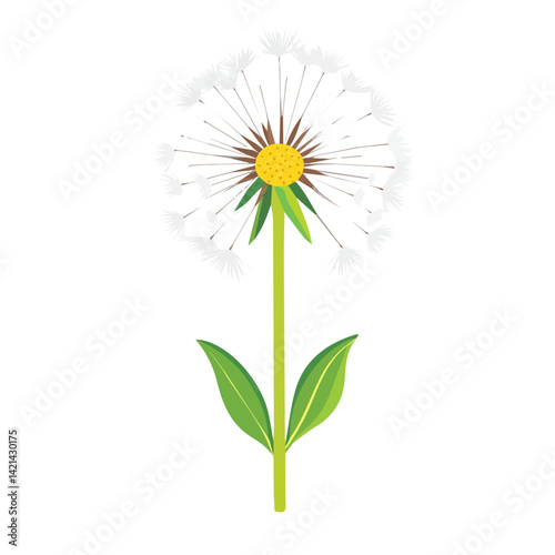 A very Simple flat 2D icon dandelion isolated on transparent background, vector, flat design, animation design, vector, flat design, animation design, simple flat 2D icon, minimalist design