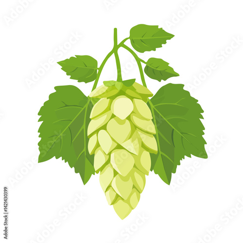 A Simple flat illustration of hops branches with leaf icon motion graphic, flat-design vector animation style, isolated in a white background, 2D flat icon, logo