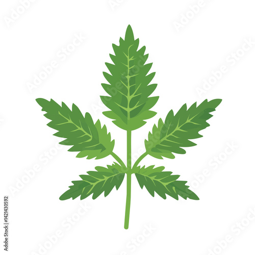 A Very Simple flat 2D icon of a nettle leaf isolated on a white background, vector, flat design, animation design, simple flat 2D icon, minimalist design, clipart design, EPS format