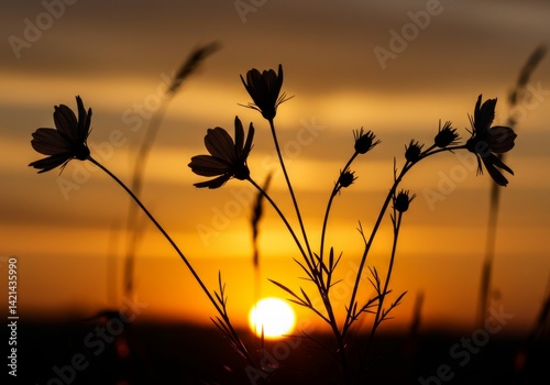 Wildflower silhouettes against a glowing orange sunset sky.