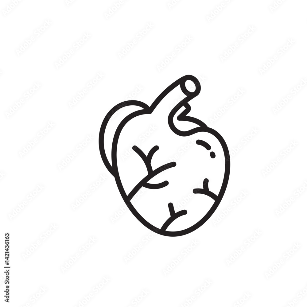human organs Line icon human organs Line icon