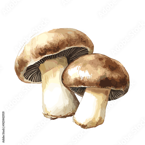 Porcini Mushroom Watercolor Pair on White