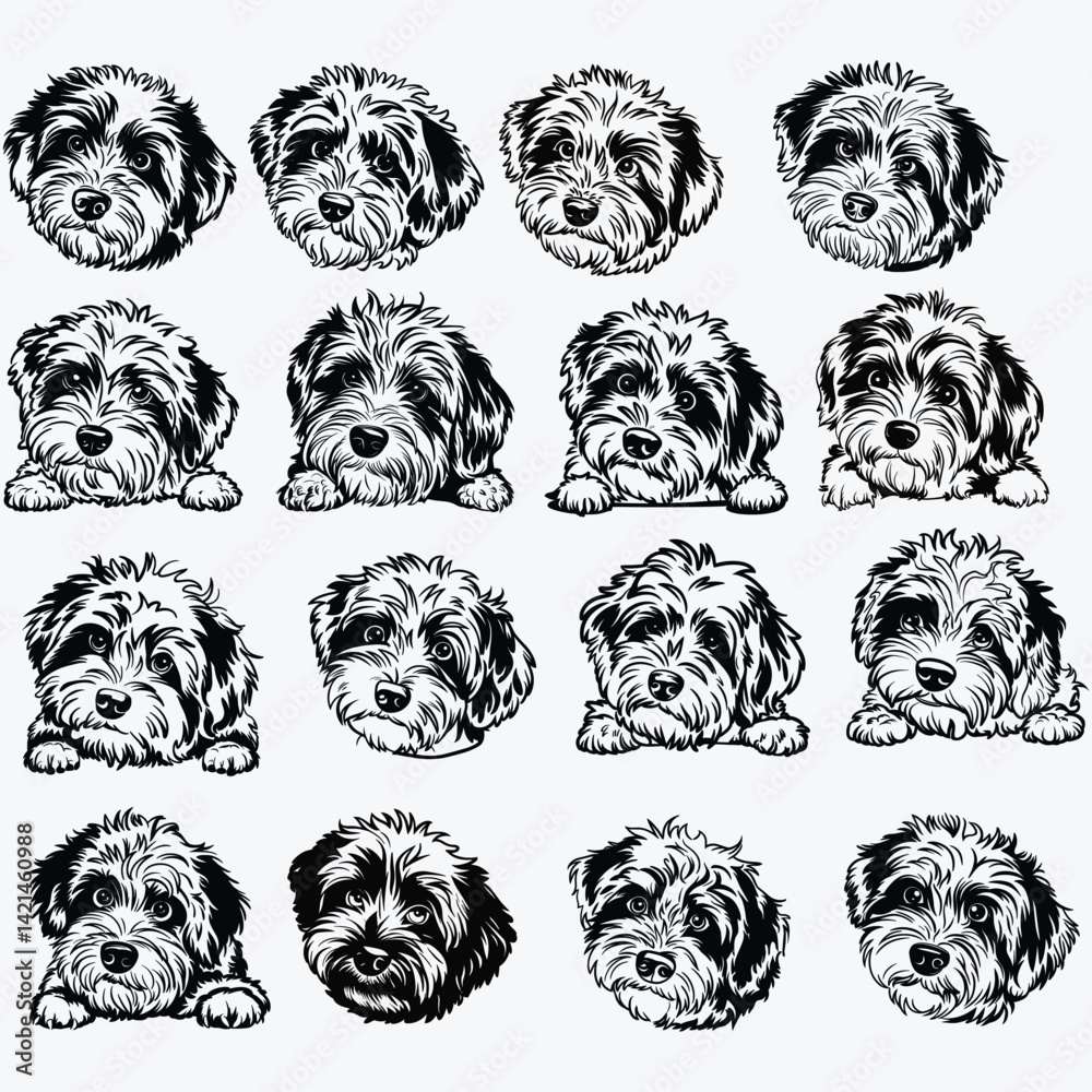 Obraz premium Mini Aussiedoodle Dog Svg Files For Cricut, Poodle Mix Breed Clipart, Cute Puppy Color Vector Art Download, Grey Red Face Head Paws Peeking