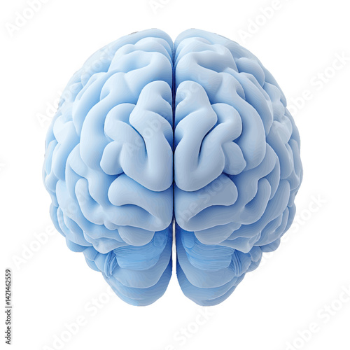 Stylized brain volumetric illustration highlighting intricate neural structures and contours in a smooth blue color scheme