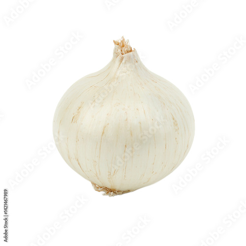 Isolated single white onion with papery skin
