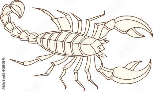 Scorpion Line Art – Detailed Hand Drawn Scorpion Illustration for Tattoo and Zodiac Design
