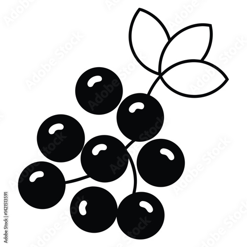 black and white wine grapes