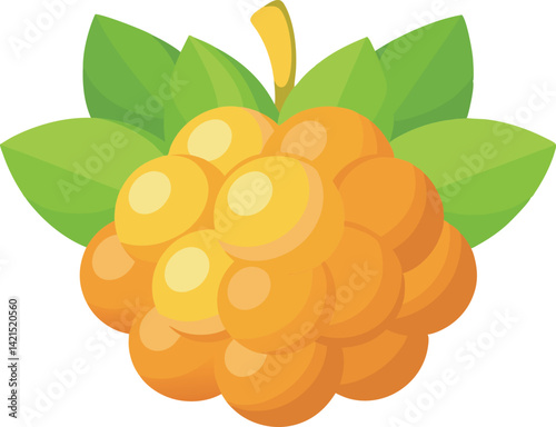 A vibrant vector art illustration of a delicious cloudberry, showcasing rich colors and detailed textures, perfect for food-themed designs.
