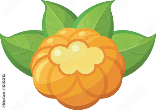 A vibrant vector art illustration of a delicious cloudberry, showcasing rich colors and detailed textures, perfect for food-themed designs.