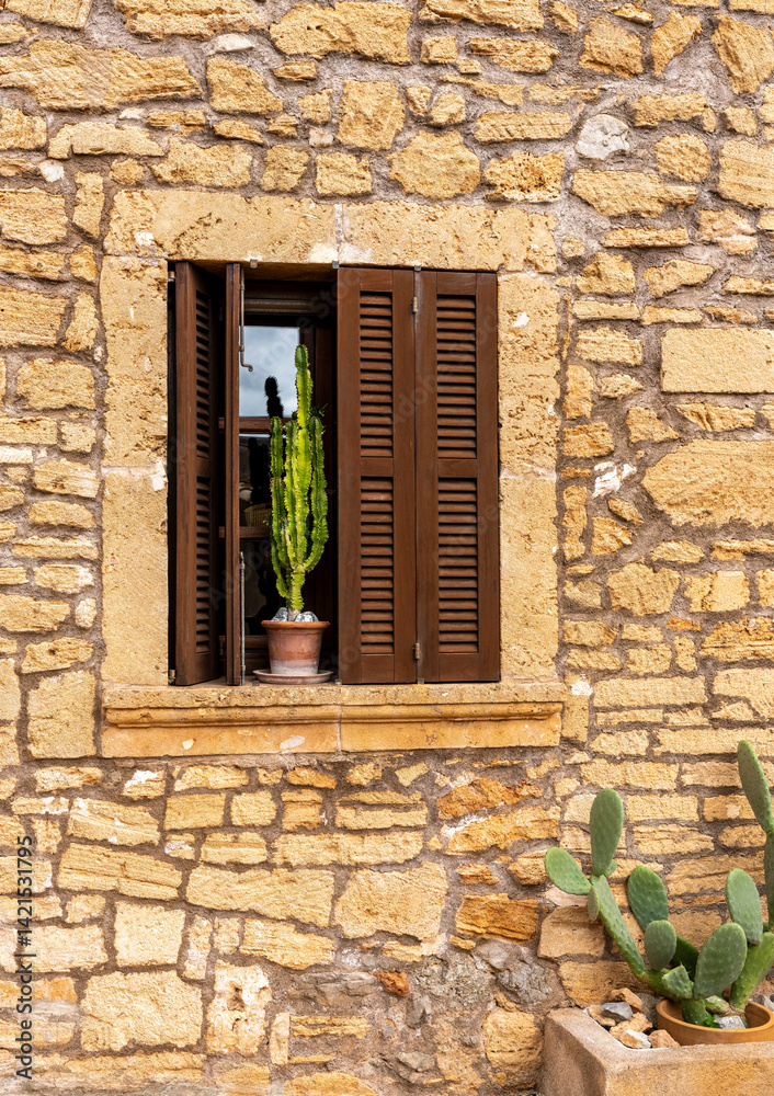Kaktus am Fenster eines mediterranen Haus, Alcudia, Mallorca, Spanien