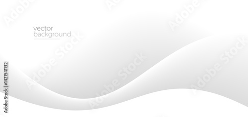 Curve shape flow vector abstract background in light grey gradient, dynamic and speed concept, futuristic technology or motion art.