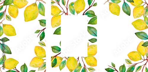 Lemons. Posters collection with hand drawn citruses with leaves. 