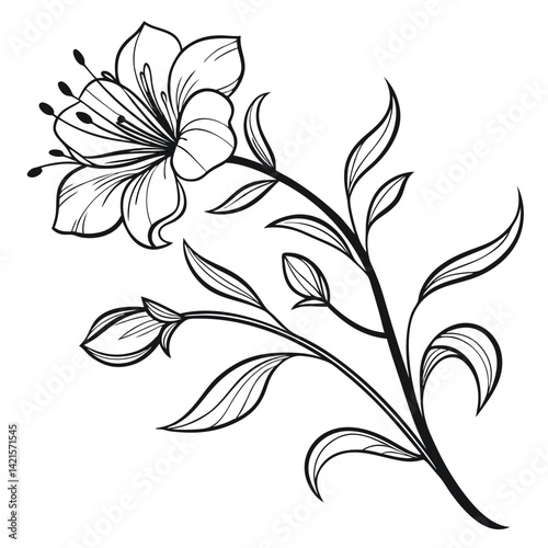 black and white flower