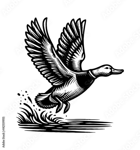 Duck Teal Goose Swan Jumping Leaping in Black and White Minimalist Silhouette