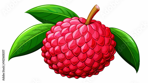 Very beautiful Red Lychee fruit isolated on white background, Fresh Red Lychee or Litchi Chinensis fruit on White Background With clipping path. 