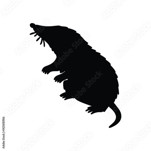 Silhouette of mole in black isolated on white background
