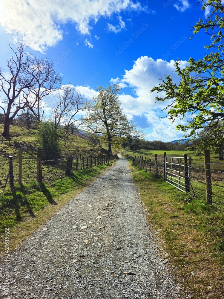 A tranquil rural walking path stretches into the distance with bright sunlight glowing through a partly cloudy sky. Ideal for themes of peace, solitude, and outdoor exploration. A tranquil rural walking path stretches into the distance with bright sunlight glowing through a partly cloudy sky. Ideal for themes of peace, solitude, and outdoor exploration.