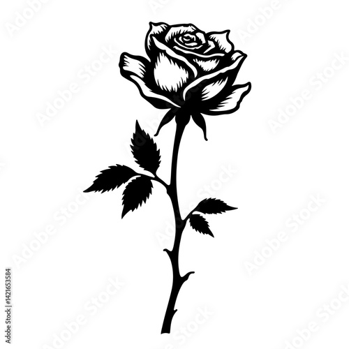 Black silhouette of rose isolated on white, rose, flower, red, isolated, love, nature, white, single, beauty, leaf, pink, blossom, green, stem, floral, valentine, gift, plant, flowers, beautiful, peta