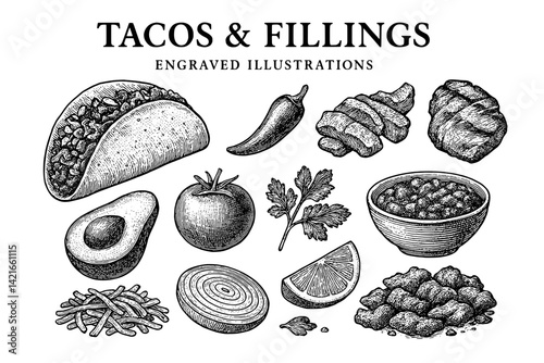 Engraved illustrations showcasing delicious tacos with various fillings and fresh ingredients in a charming culinary composition