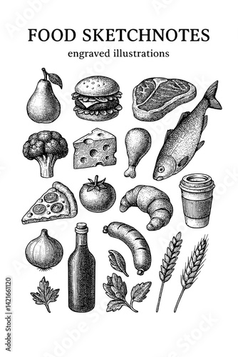 Creative food sketches showcasing a variety of engraved illustrations featuring delicious meals and fresh ingredients